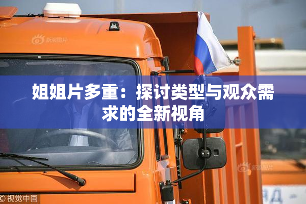 姐姐片多重：探讨类型与观众需求的全新视角