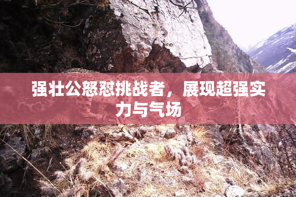 强壮公怒怼挑战者，展现超强实力与气场