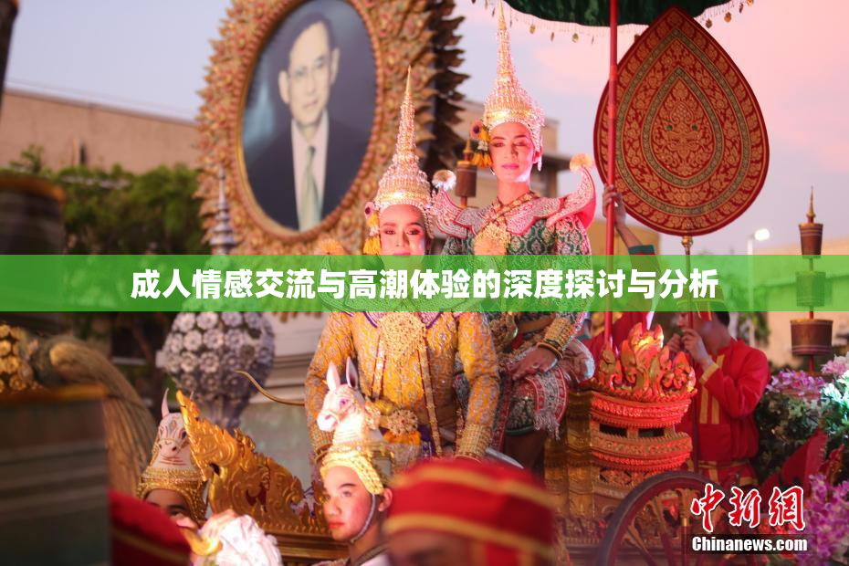 成人情感交流与高潮体验的深度探讨与分析