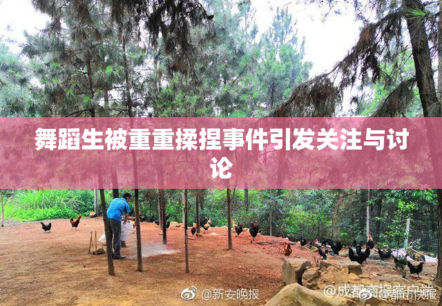 舞蹈生被重重揉捏事件引发关注与讨论