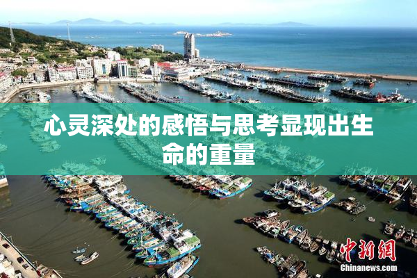 心灵深处的感悟与思考显现出生命的重量