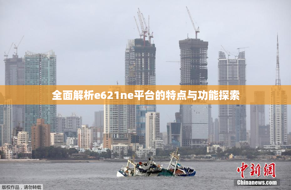 全面解析e621ne平台的特点与功能探索