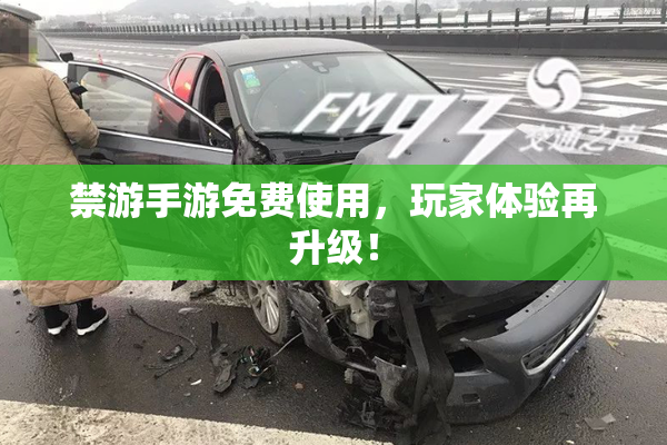 禁游手游免费使用，玩家体验再升级！