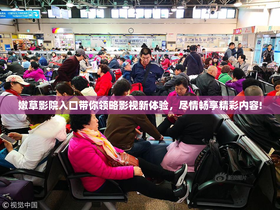嫩草影院入口带你领略影视新体验，尽情畅享精彩内容!