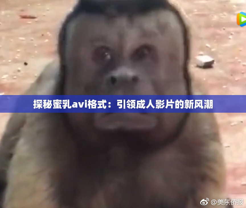 探秘蜜乳avi格式：引领成人影片的新风潮