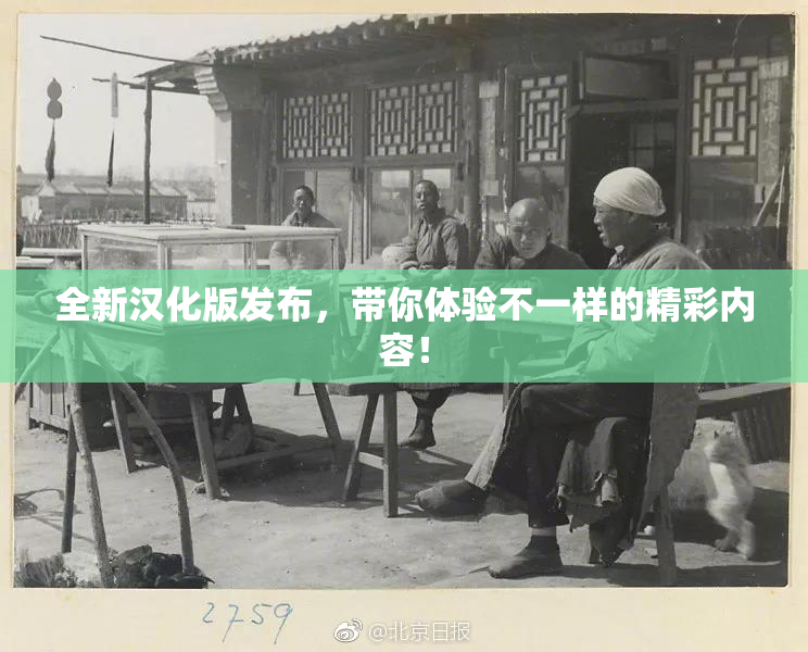 全新汉化版发布，带你体验不一样的精彩内容！