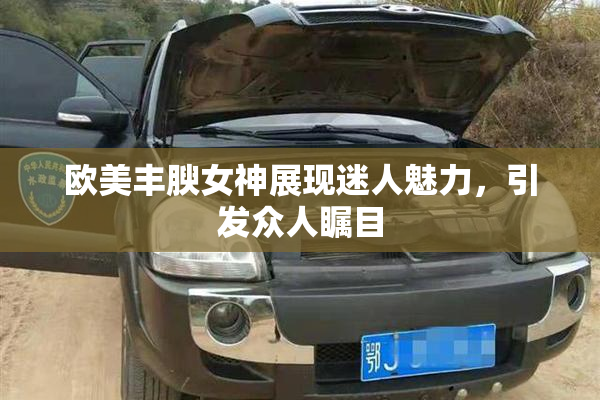 欧美丰腴女神展现迷人魅力，引发众人瞩目