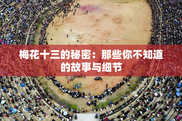 梅花十三的秘密：那些你不知道的故事与细节