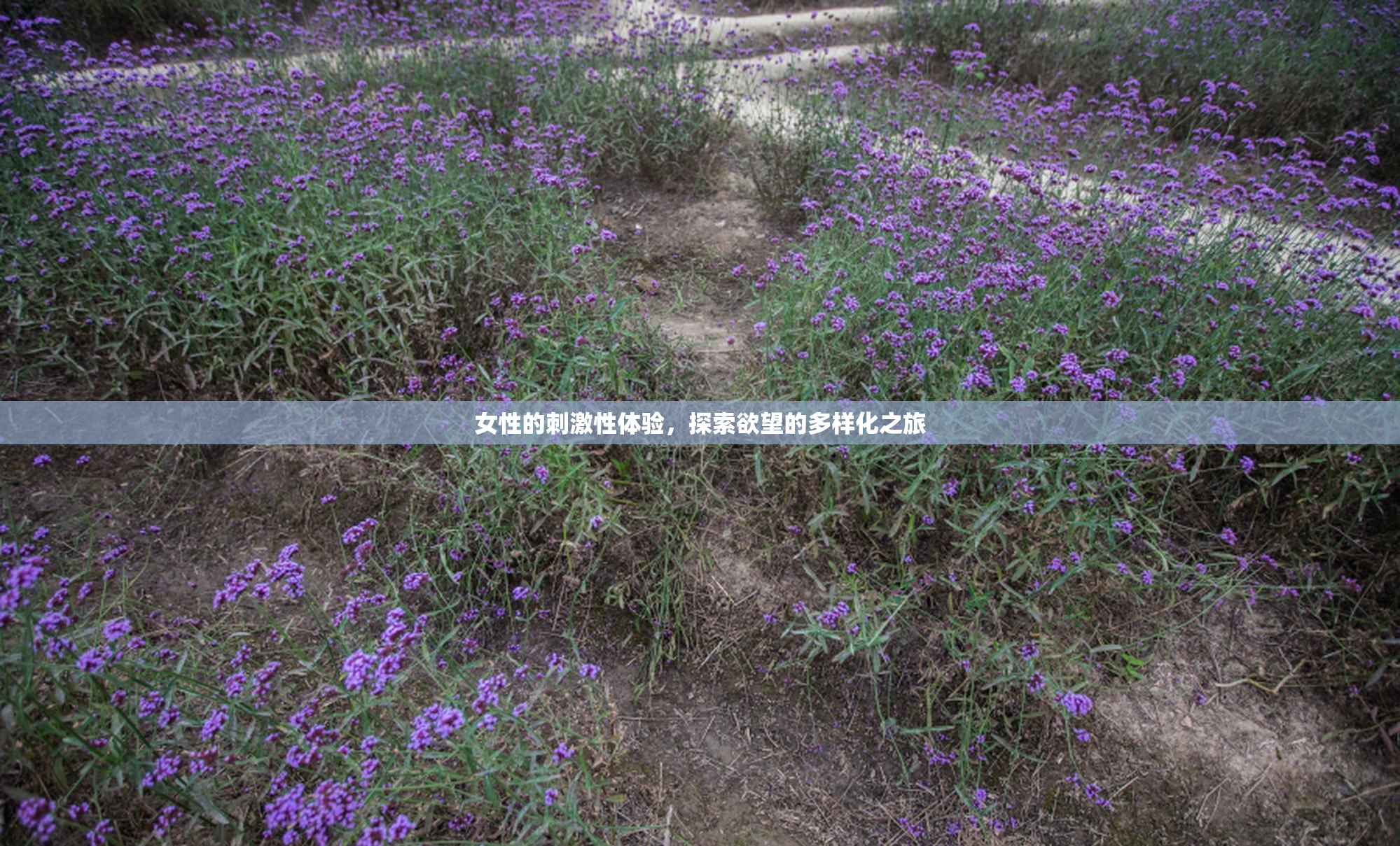 女性的刺激性体验，探索欲望的多样化之旅