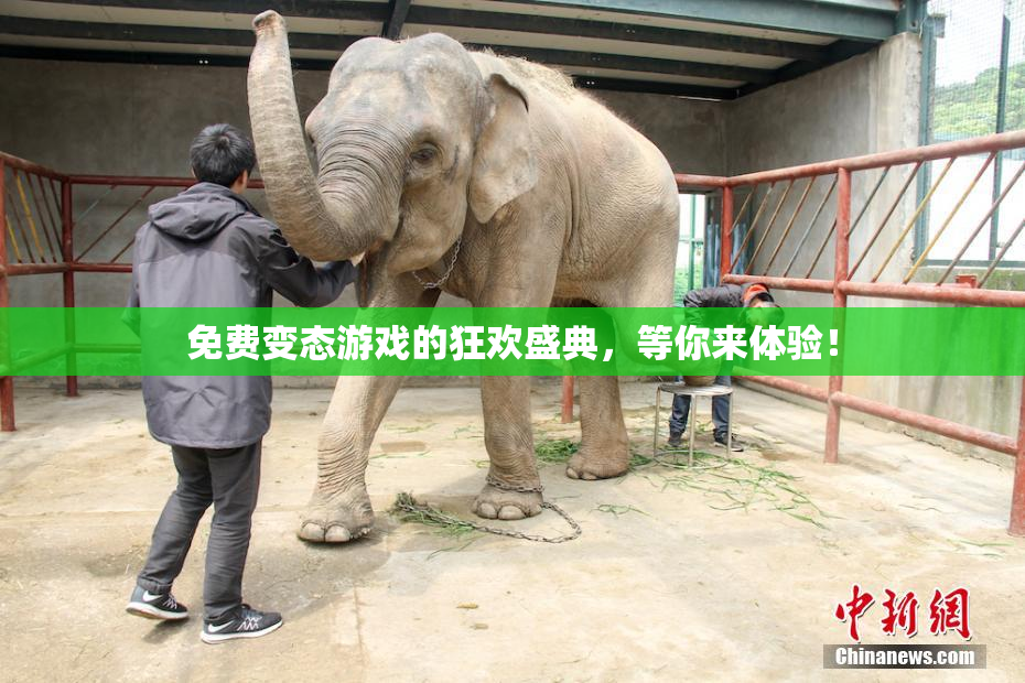 免费变态游戏的狂欢盛典，等你来体验！