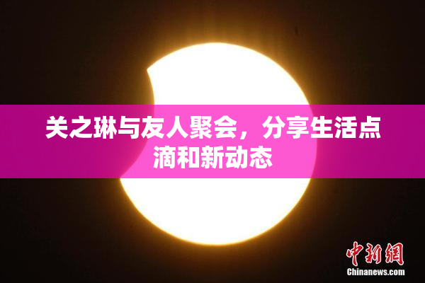 关之琳与友人聚会，分享生活点滴和新动态