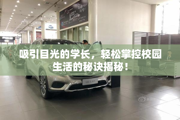 吸引目光的学长，轻松掌控校园生活的秘诀揭秘！