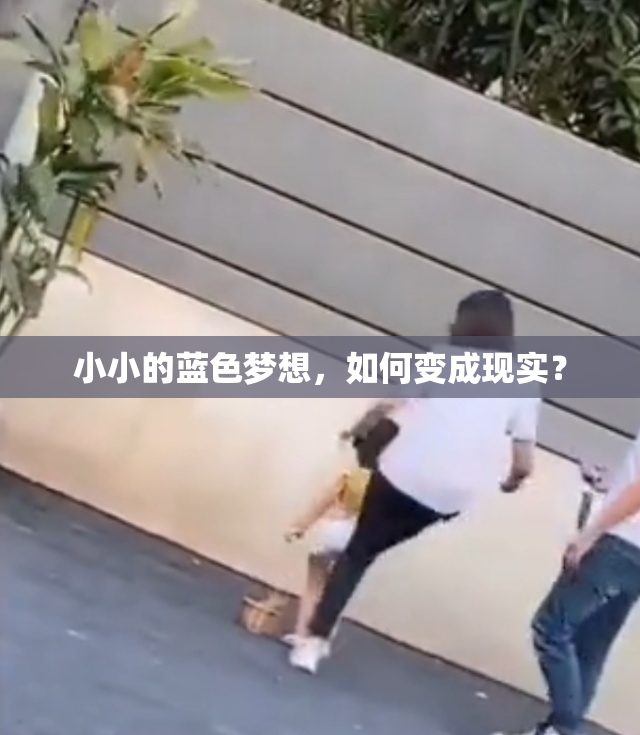 小小的蓝色梦想，如何变成现实？