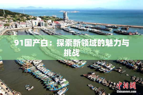 91国产白：探索新领域的魅力与挑战
