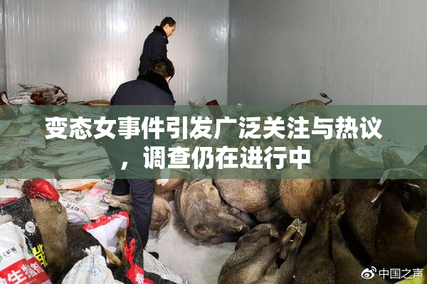 变态女事件引发广泛关注与热议，调查仍在进行中