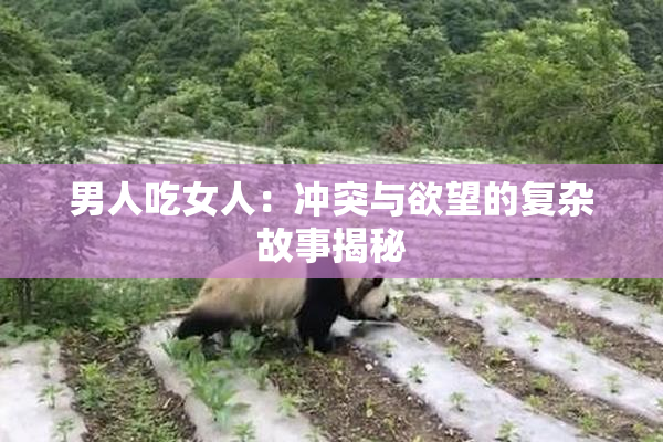 男人吃女人：冲突与欲望的复杂故事揭秘