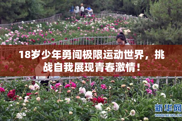 18岁少年勇闯极限运动世界，挑战自我展现青春激情！