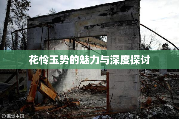 花怜玉势的魅力与深度探讨