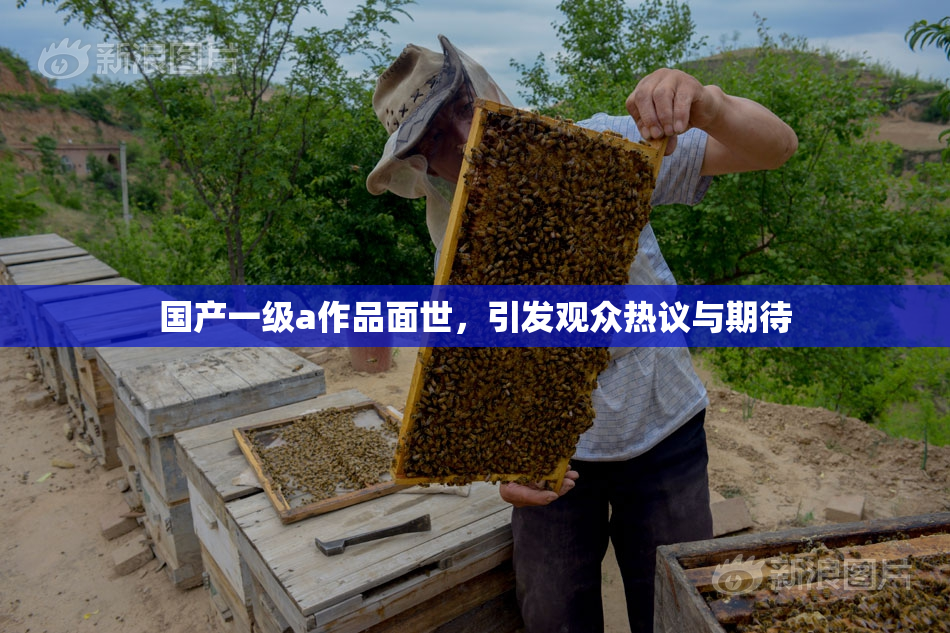 国产一级a作品面世，引发观众热议与期待
