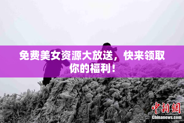免费美女资源大放送，快来领取你的福利！