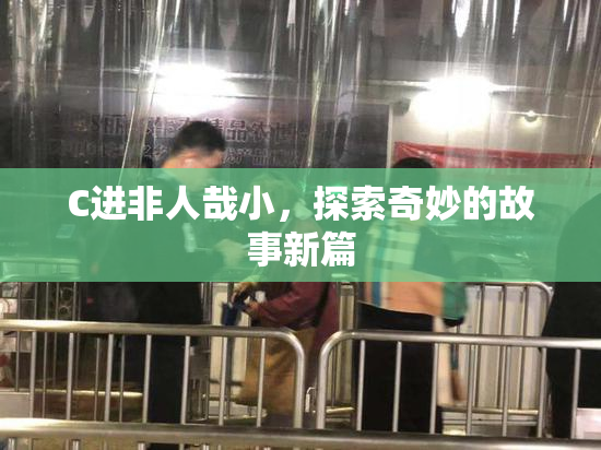 C进非人哉小，探索奇妙的故事新篇