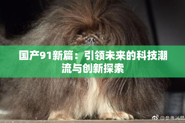 国产91新篇：引领未来的科技潮流与创新探索