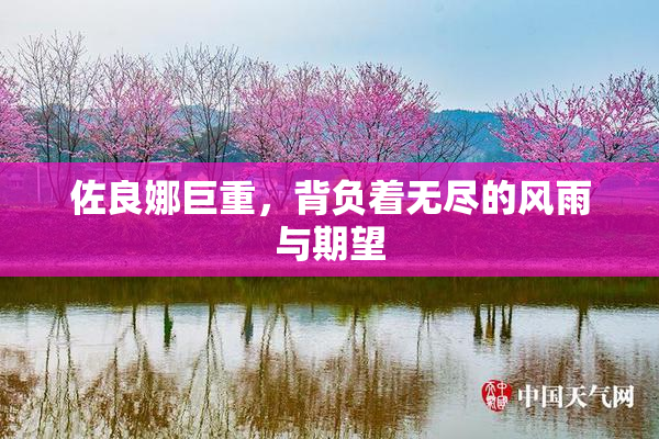 佐良娜巨重，背负着无尽的风雨与期望