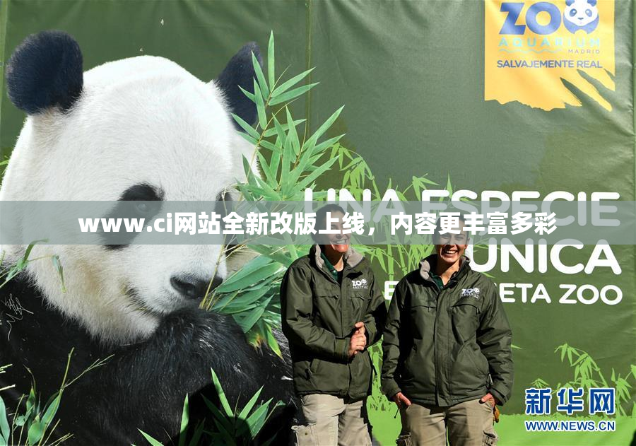 www.ci网站全新改版上线，内容更丰富多彩