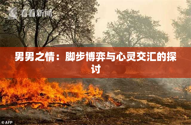 男男之情：脚步博弈与心灵交汇的探讨