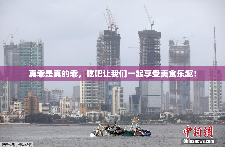 真乖是真的乖，吃吧让我们一起享受美食乐趣！