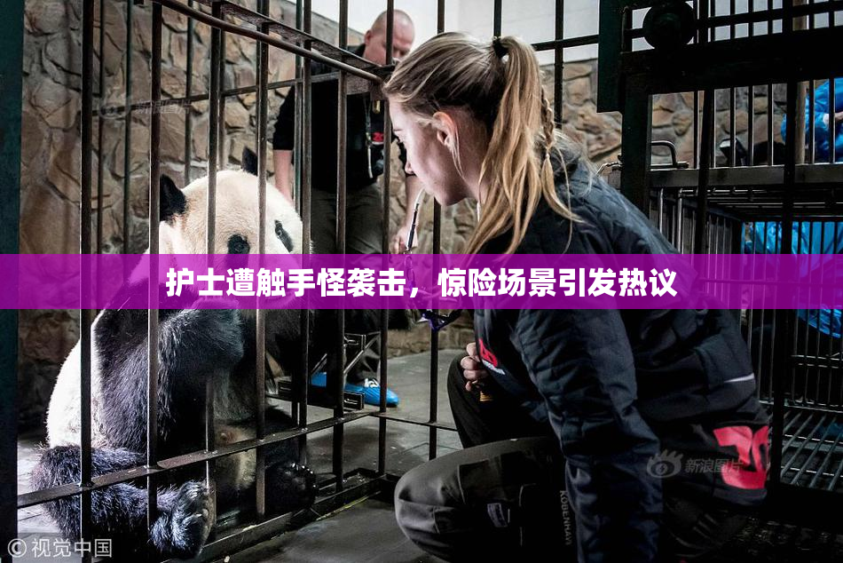护士遭触手怪袭击，惊险场景引发热议
