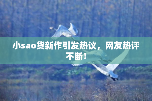 小sao货新作引发热议，网友热评不断！