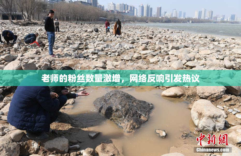 老师的粉丝数量激增，网络反响引发热议