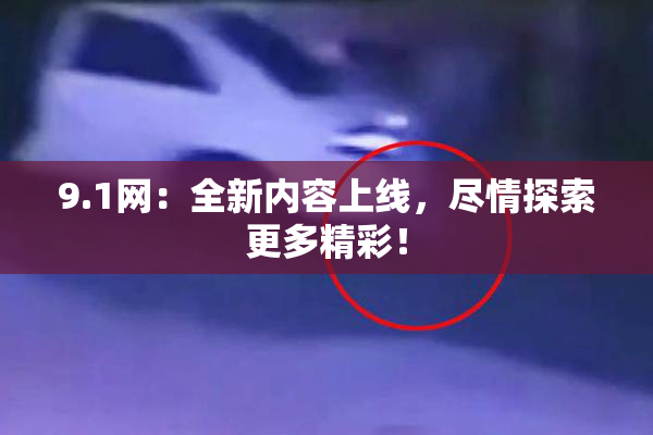 9.1网：全新内容上线，尽情探索更多精彩！