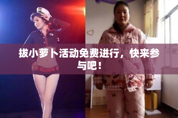 拔小萝卜活动免费进行，快来参与吧！