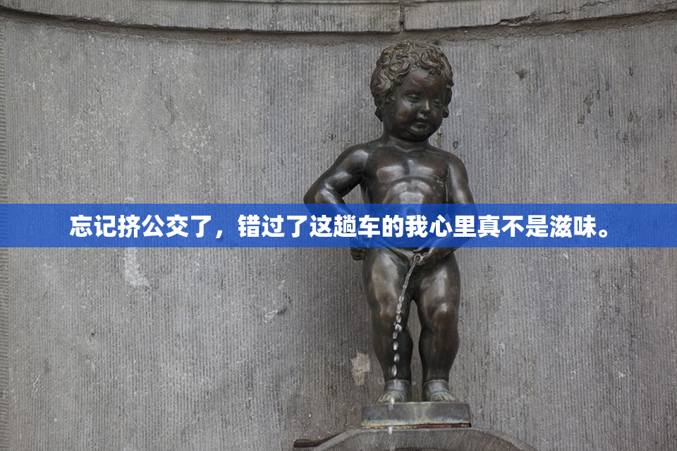 忘记挤公交了，错过了这趟车的我心里真不是滋味。