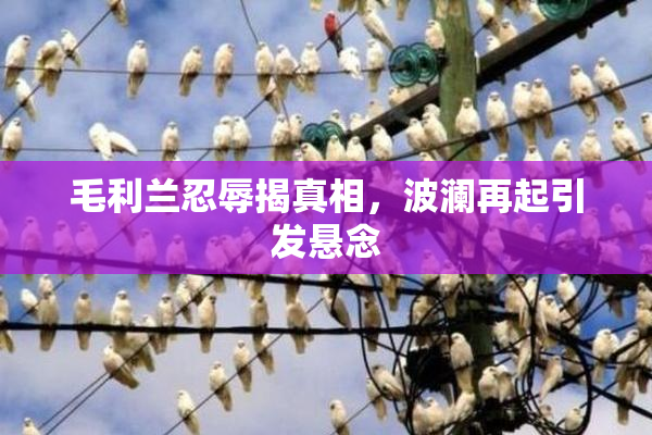 毛利兰忍辱揭真相，波澜再起引发悬念