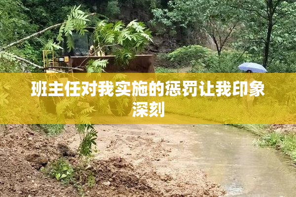 班主任对我实施的惩罚让我印象深刻