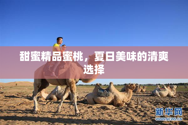 甜蜜精品蜜桃，夏日美味的清爽选择
