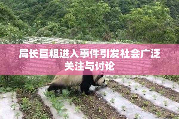 局长巨粗进入事件引发社会广泛关注与讨论