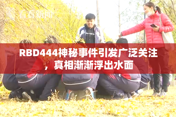 RBD444神秘事件引发广泛关注，真相渐渐浮出水面