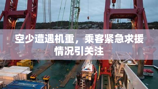 空少遭遇机重，乘客紧急求援情况引关注