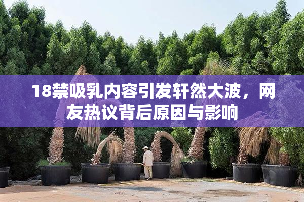 18禁吸乳内容引发轩然大波，网友热议背后原因与影响