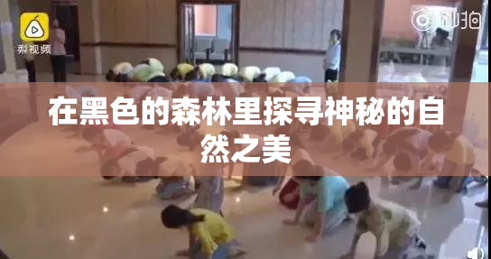 在黑色的森林里探寻神秘的自然之美