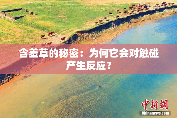 含羞草的秘密：为何它会对触碰产生反应？