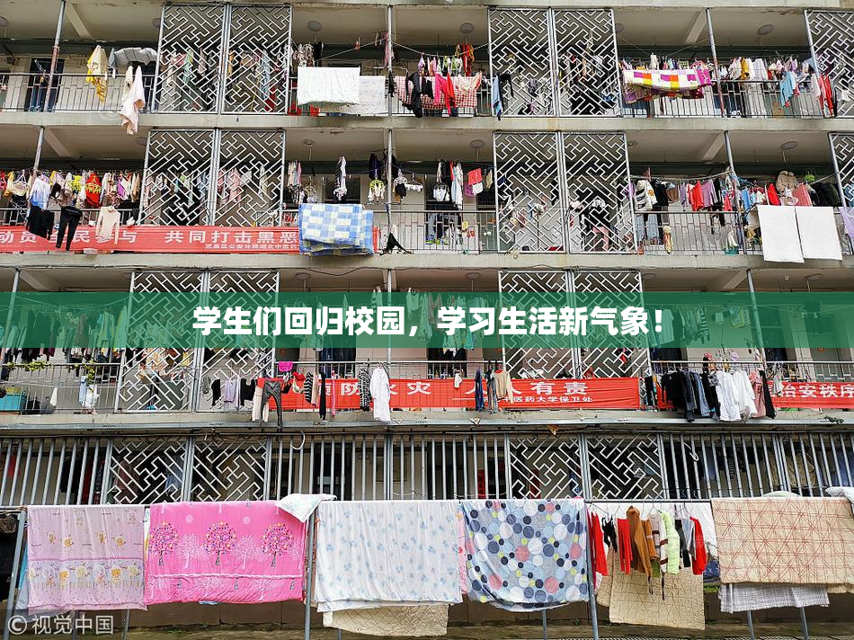 学生们回归校园，学习生活新气象！