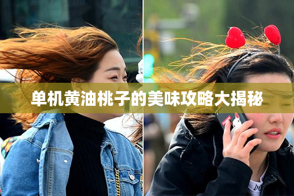 单机黄油桃子的美味攻略大揭秘