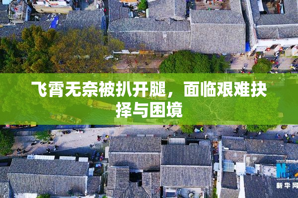飞霄无奈被扒开腿，面临艰难抉择与困境