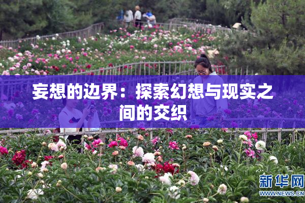 妄想的边界：探索幻想与现实之间的交织