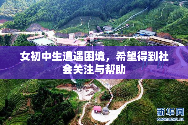 女初中生遭遇困境，希望得到社会关注与帮助